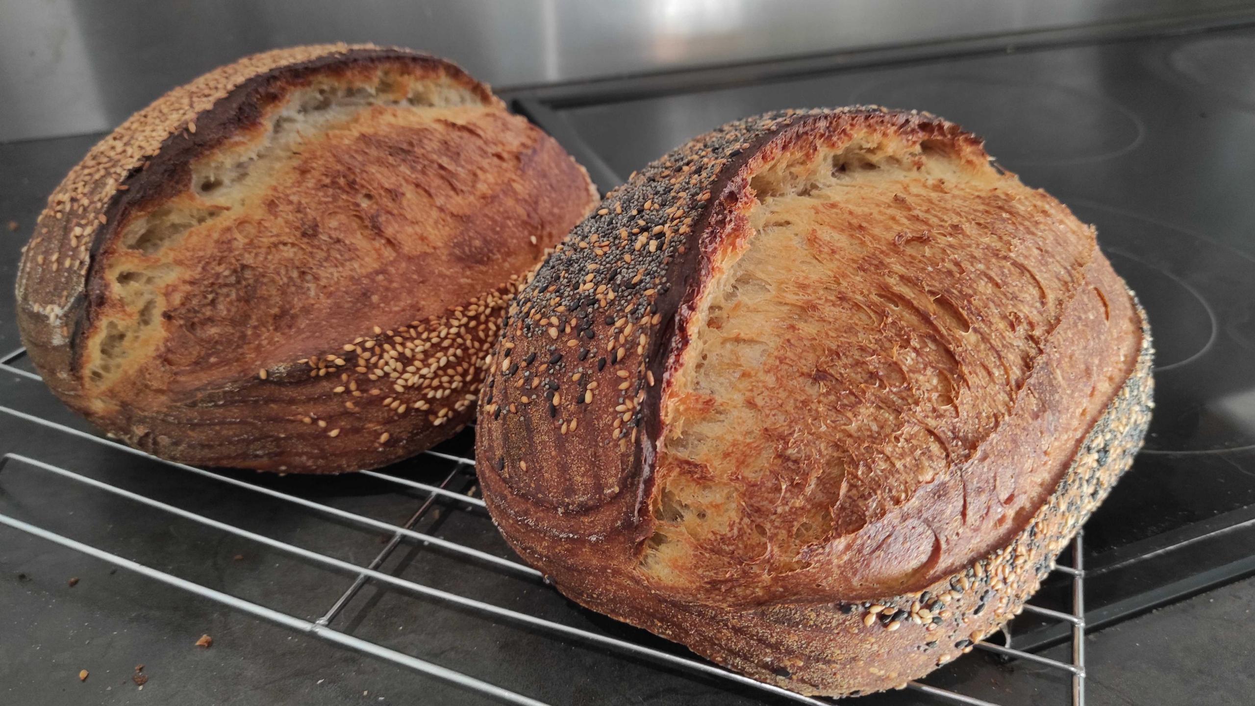 Sourdough breads with pigeon pea flour The Fresh Loaf